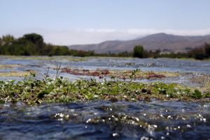 archivo fotografico de felipe garcia 122 122 20241103