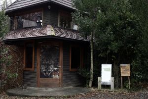 archivo fotografico de felipe garcia 126 126 20241103