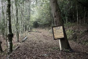 archivo fotografico de felipe garcia 127 127 20241103