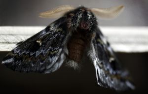 archivo fotografico de felipe garcia 128 128 20241103