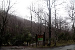 archivo fotografico de felipe garcia 141 141 20241103