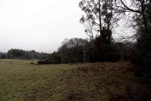 archivo fotografico de felipe garcia 142 142 20241103