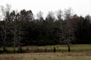 archivo fotografico de felipe garcia 143 143 20241103