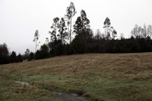 archivo fotografico de felipe garcia 147 147 20241103