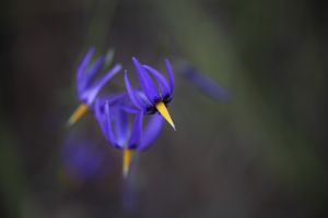 archivo fotografico de felipe garcia 162 162 20241103