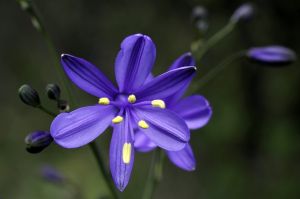 archivo fotografico de felipe garcia 168 168 20241103