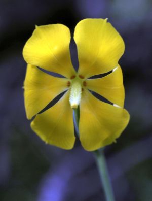 archivo fotografico de felipe garcia 169 169 20241103