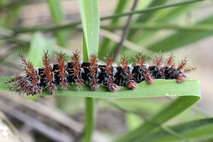 archivo fotografico de felipe garcia 170 170 20241103