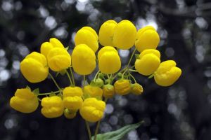 archivo fotografico de felipe garcia 171 171 20241103