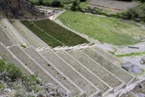 archivo fotografico de felipe garcia 183 183 20241103