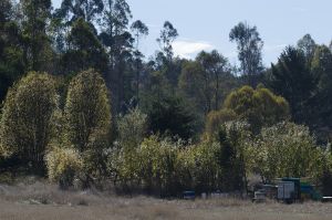 archivo fotografico de felipe garcia 219 219 20241103