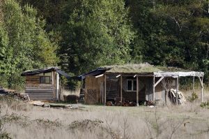 archivo fotografico de felipe garcia 225 225 20241103