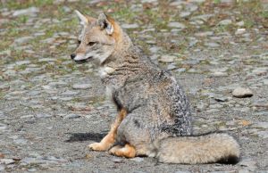 archivo fotografico de felipe garcia 233 233 20241103