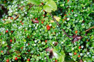 archivo fotografico de felipe garcia 234 234 20241103