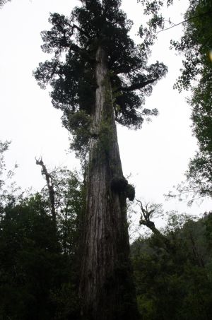 archivo fotografico de felipe garcia 236 236 20241103