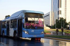 archivo fotografico de felipe garcia 253 253 20241103