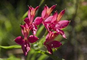 archivo fotografico de felipe garcia 261 261 20241103