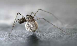 archivo fotografico de felipe garcia 263 263 20241103