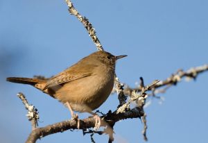 archivo fotografico de felipe garcia 277 277 20241103