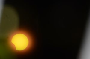 archivo fotografico de felipe garcia 280 280 20241103