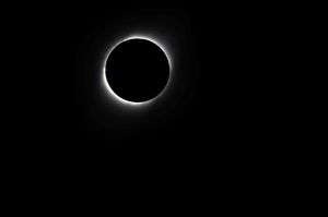 archivo fotografico de felipe garcia 285 285 20241103