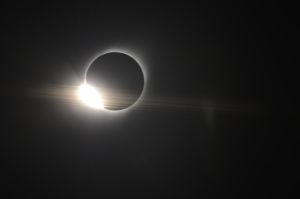 archivo fotografico de felipe garcia 286 286 20241103