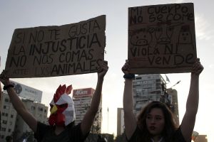 archivo fotografico de felipe garcia 316 316 20241103