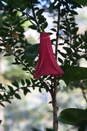 archivo fotografico de felipe garcia 39 39 20241103