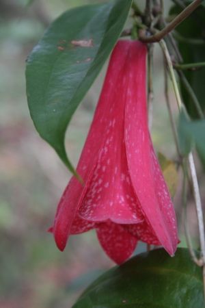 archivo fotografico de felipe garcia 49 49 20241103
