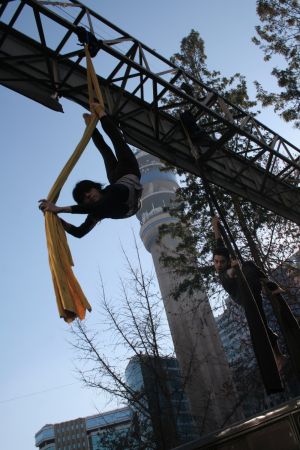 archivo fotografico de felipe garcia 54 54 20241103