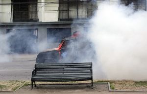 archivo fotografico de felipe garcia 55 55 20241103