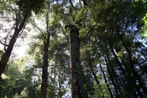 archivo fotografico de felipe garcia 59 59 20241103