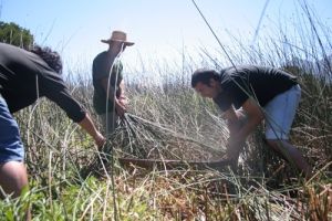 archivo fotografico de felipe garcia 61 61 20241103