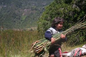 archivo fotografico de felipe garcia 62 62 20241103