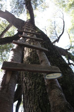 archivo fotografico de felipe garcia 66 66 20241103