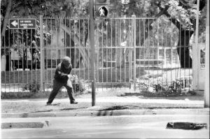 archivo fotografico de felipe garcia 94 94 20241103