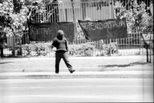 archivo fotografico de felipe garcia 95 95 20241103