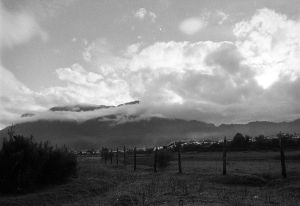 archivo fotografico de felipe garcia 98 98 20241103